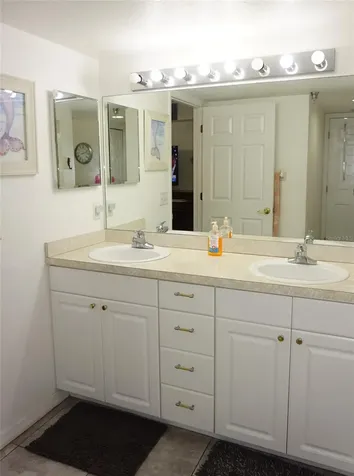 21107 Fountain View Lane Lutz FL 33558