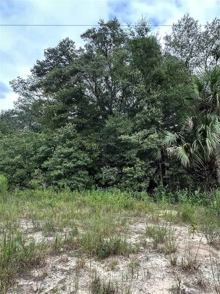 00 Kin Street Interlachen FL 32148