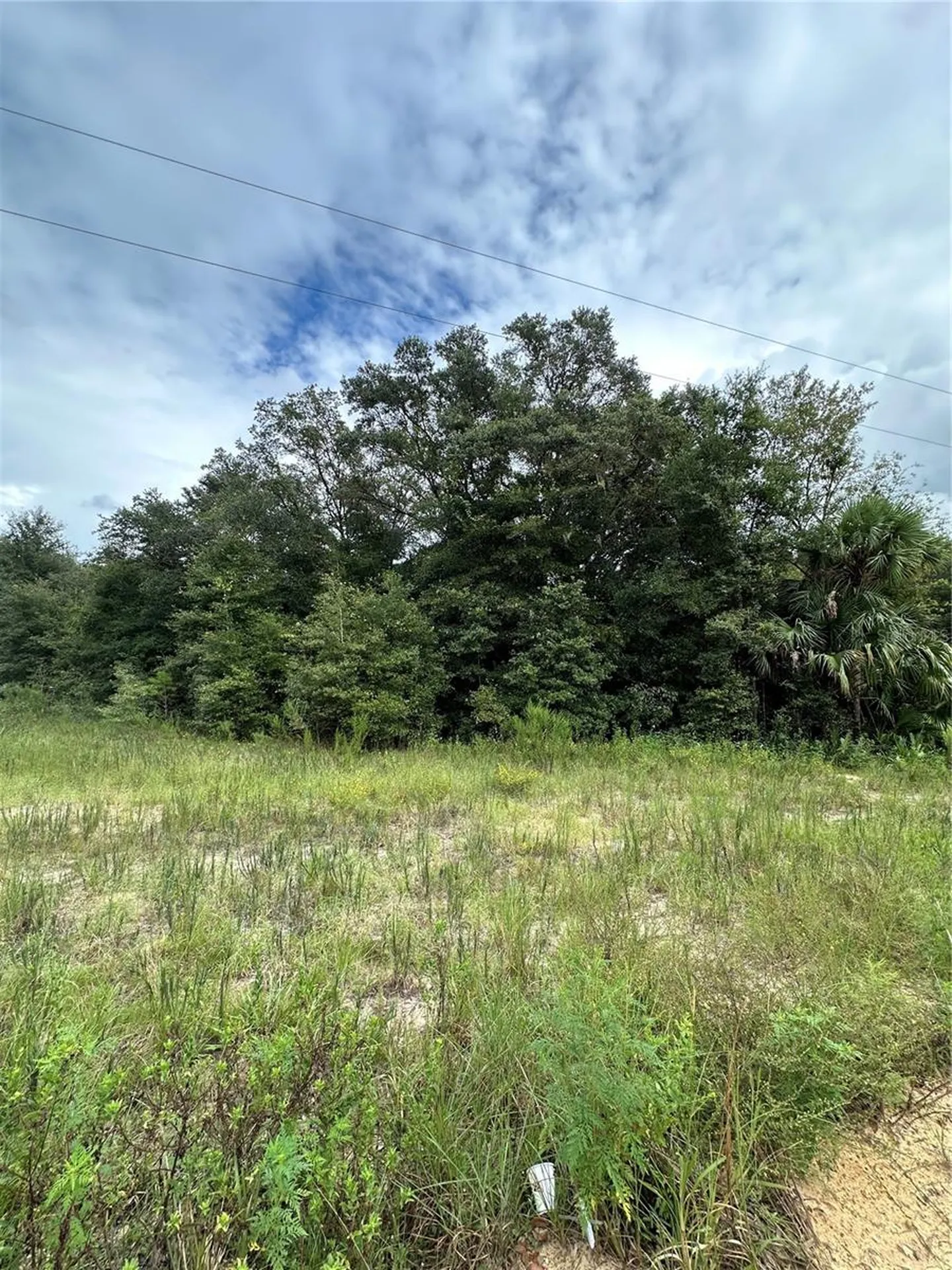 00 Kin Street Interlachen FL 32148