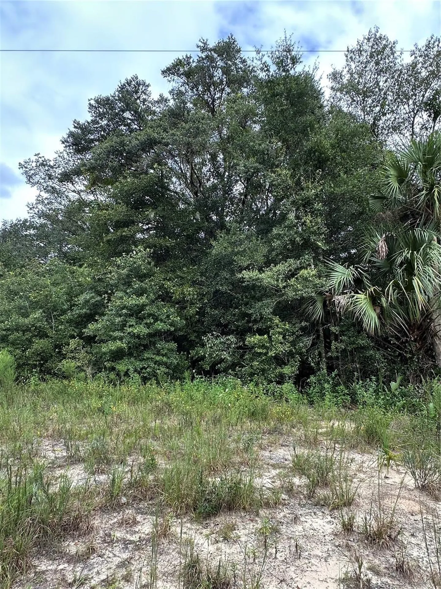 00 Kin Street Interlachen FL 32148
