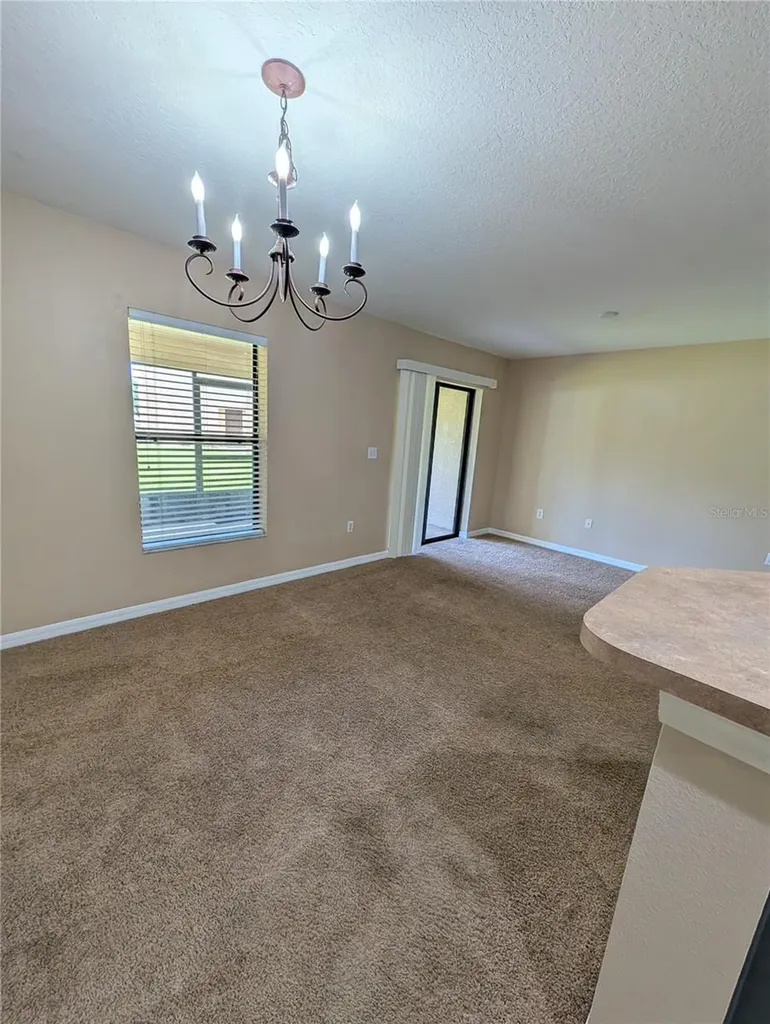 2516 Oleander Lakes Drive Brandon FL 33511