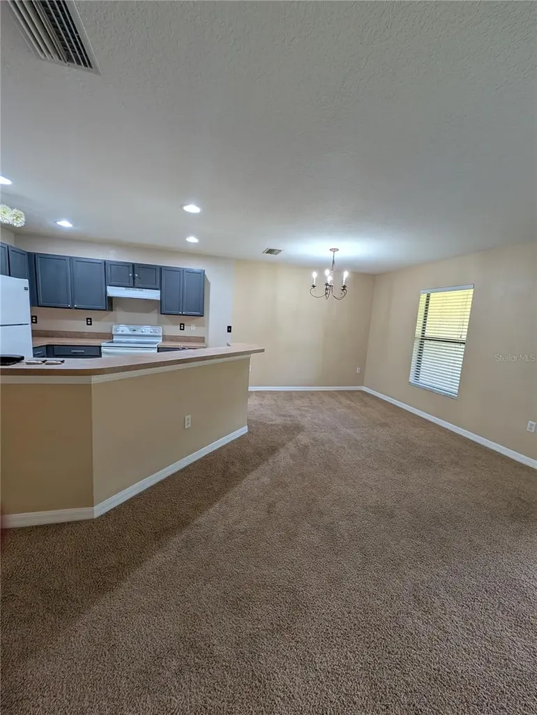 2516 Oleander Lakes Drive Brandon FL 33511
