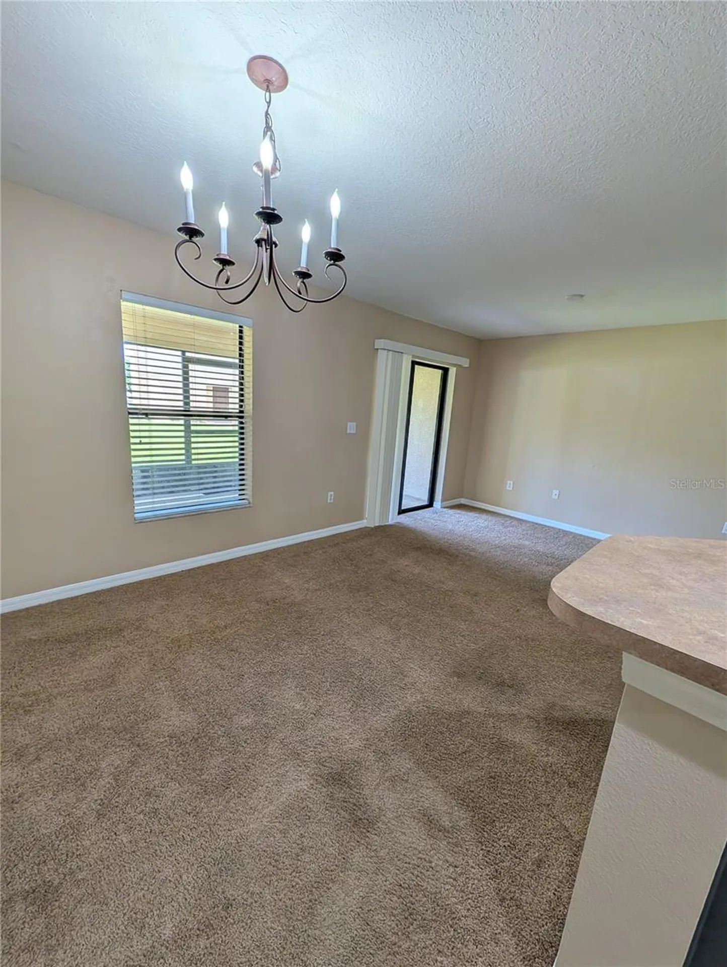 2516 Oleander Lakes Drive Brandon FL 33511