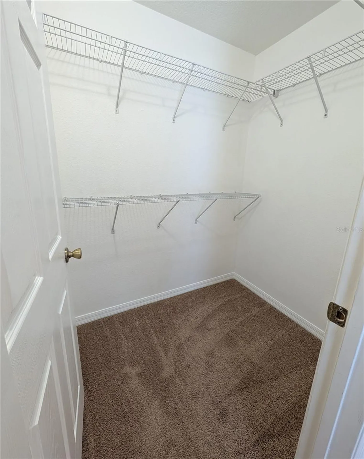 2516 Oleander Lakes Drive Brandon FL 33511