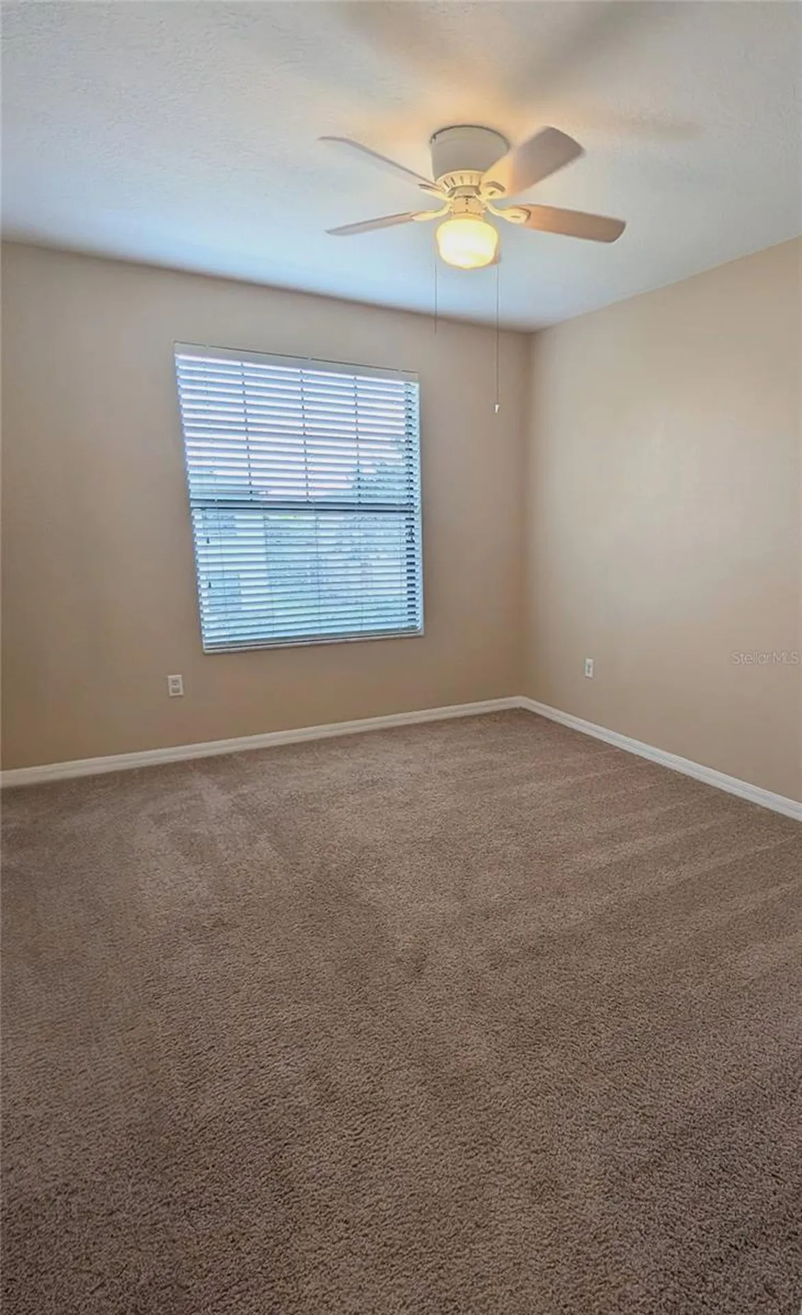 2516 Oleander Lakes Drive Brandon FL 33511