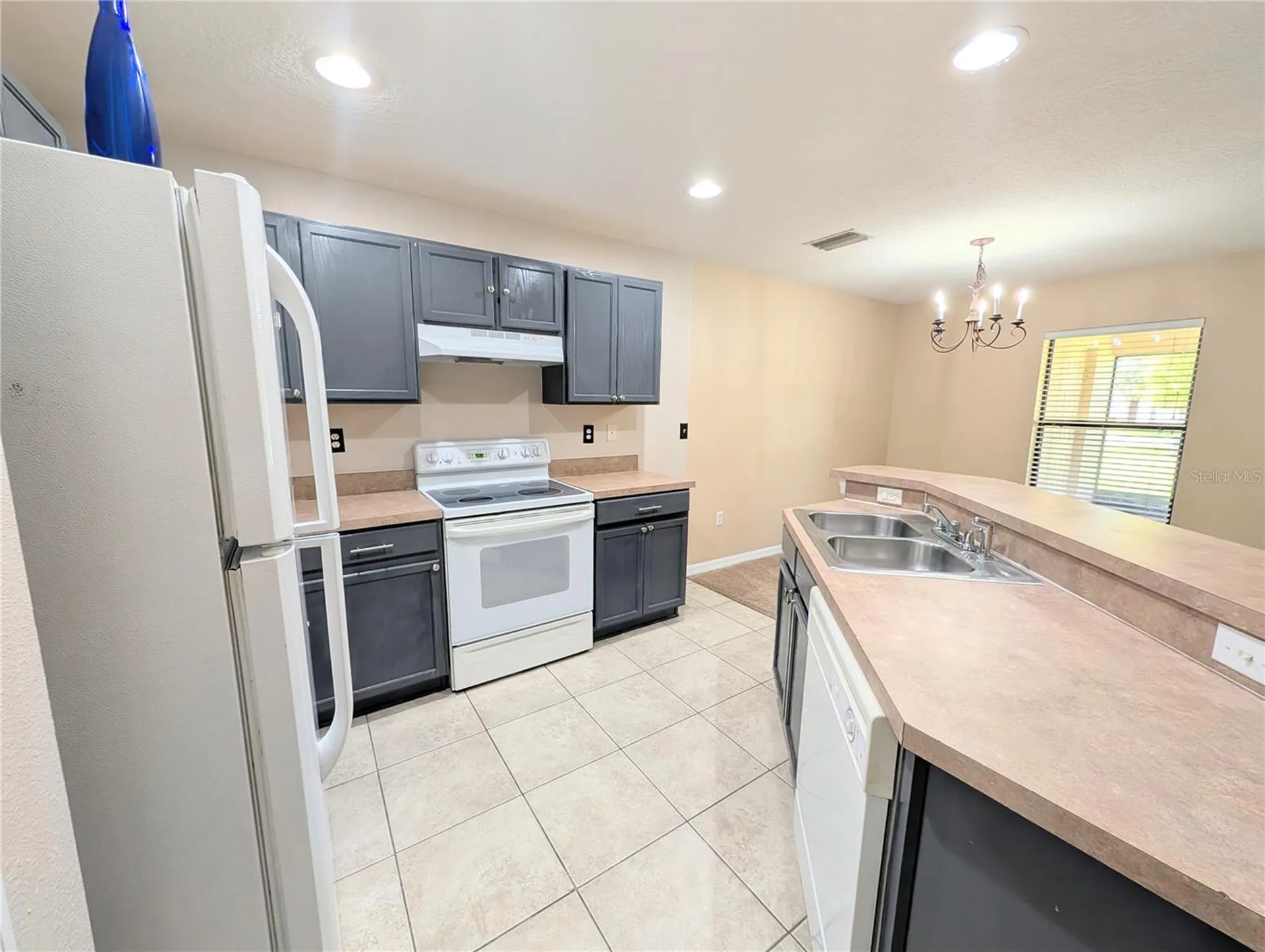 2516 Oleander Lakes Drive Brandon FL 33511