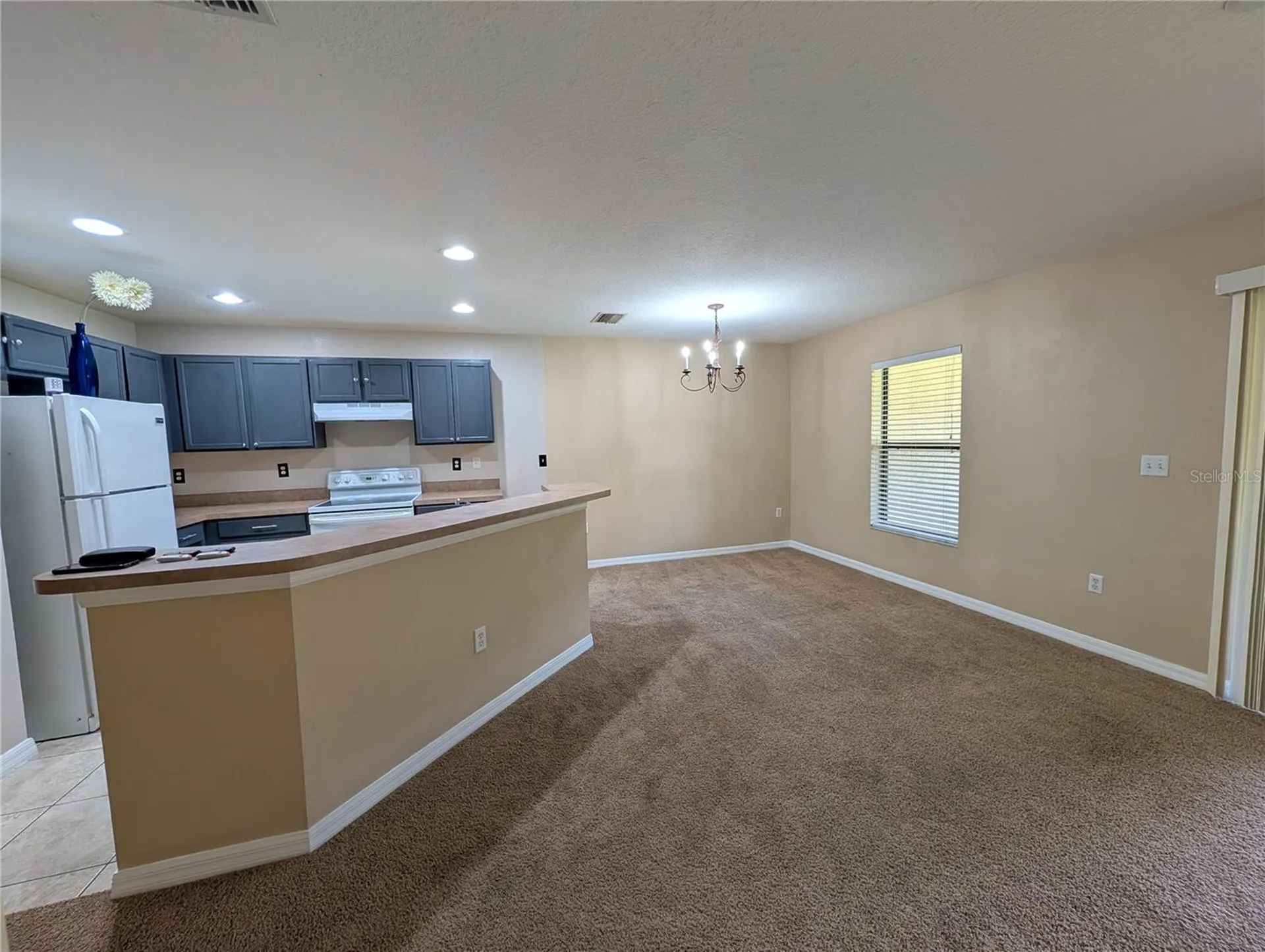 2516 Oleander Lakes Drive Brandon FL 33511