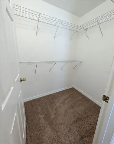 2516 Oleander Lakes Drive Brandon FL 33511