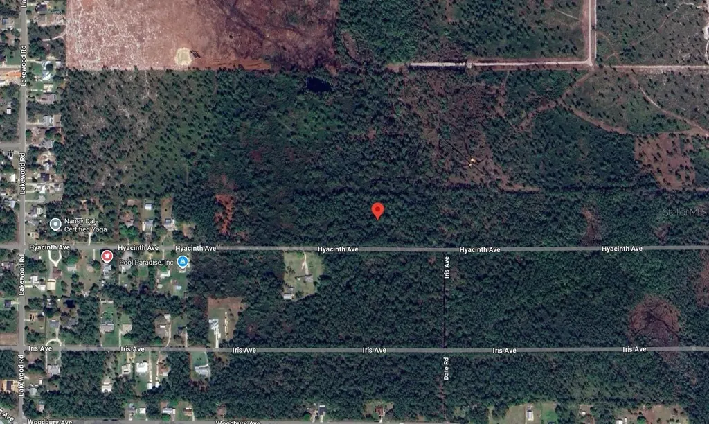 1016 Hyacinth Avenue Sebring FL 33875