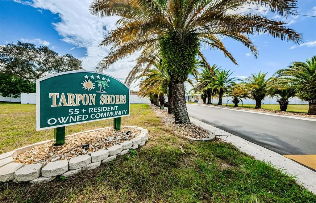 217 Seagull Drive Tarpon Springs FL 34689