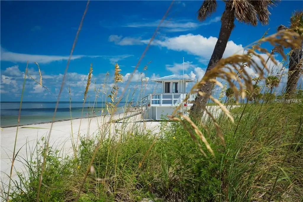 217 Seagull Drive Tarpon Springs FL 34689