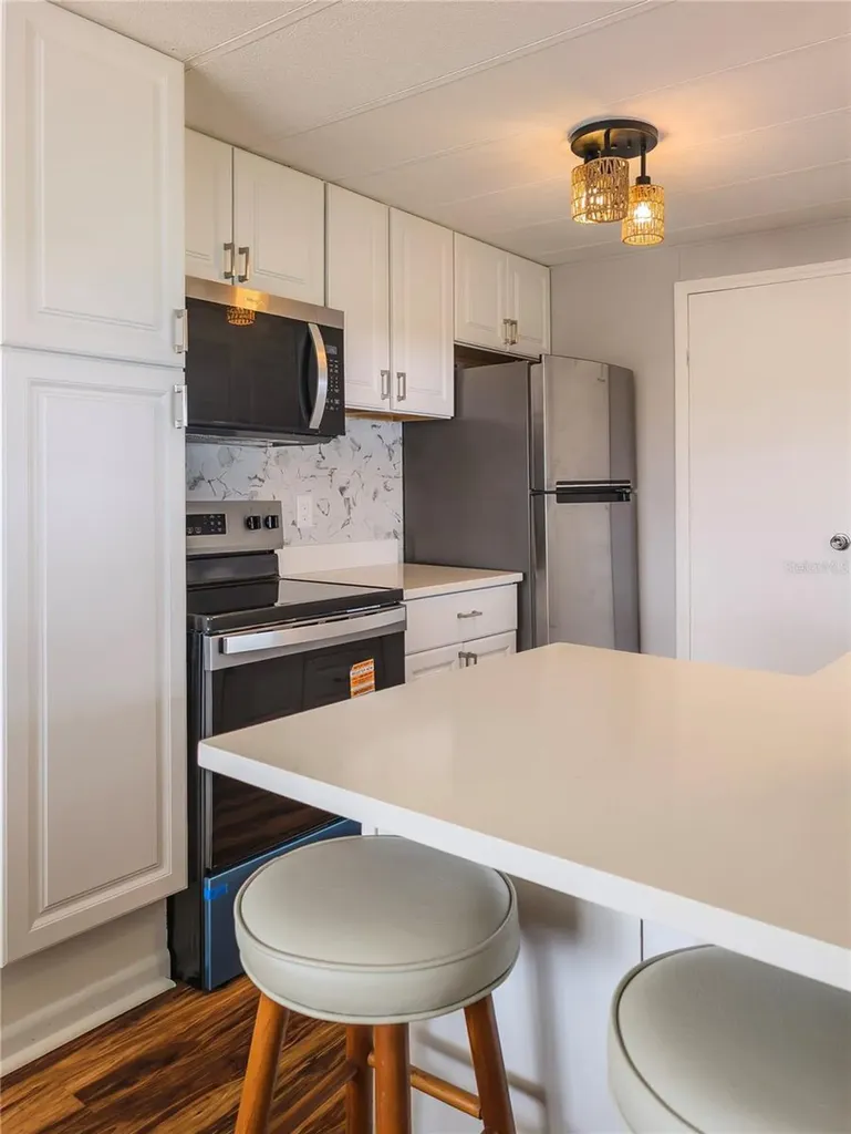 217 Seagull Drive Tarpon Springs FL 34689