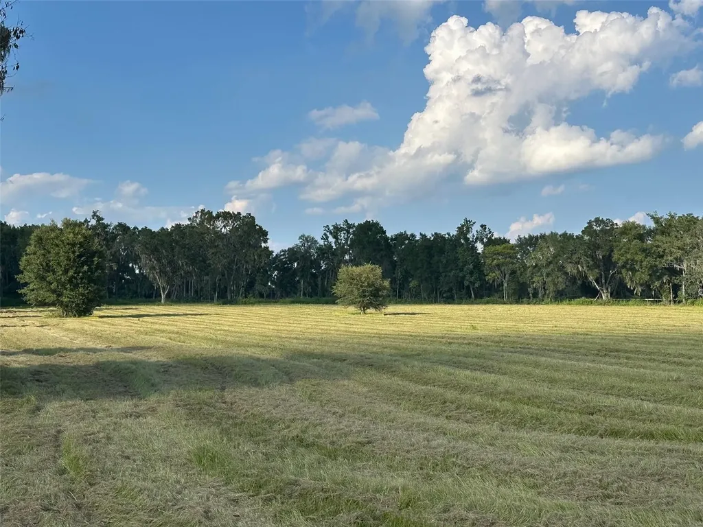 Tbd NW 100th Avenue Ocala FL 34482