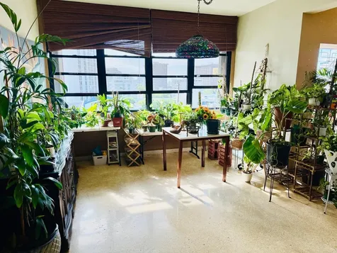 267 San Jorge Avenue San Juan PR 00912