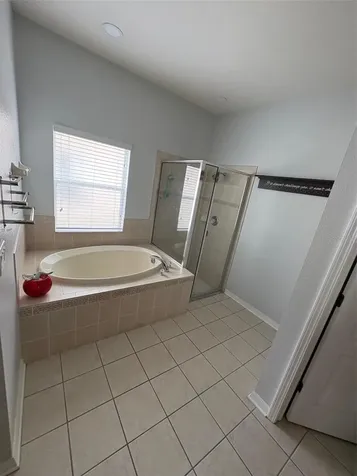 9840 Jasmine Brook Circle Land O Lakes FL 34638