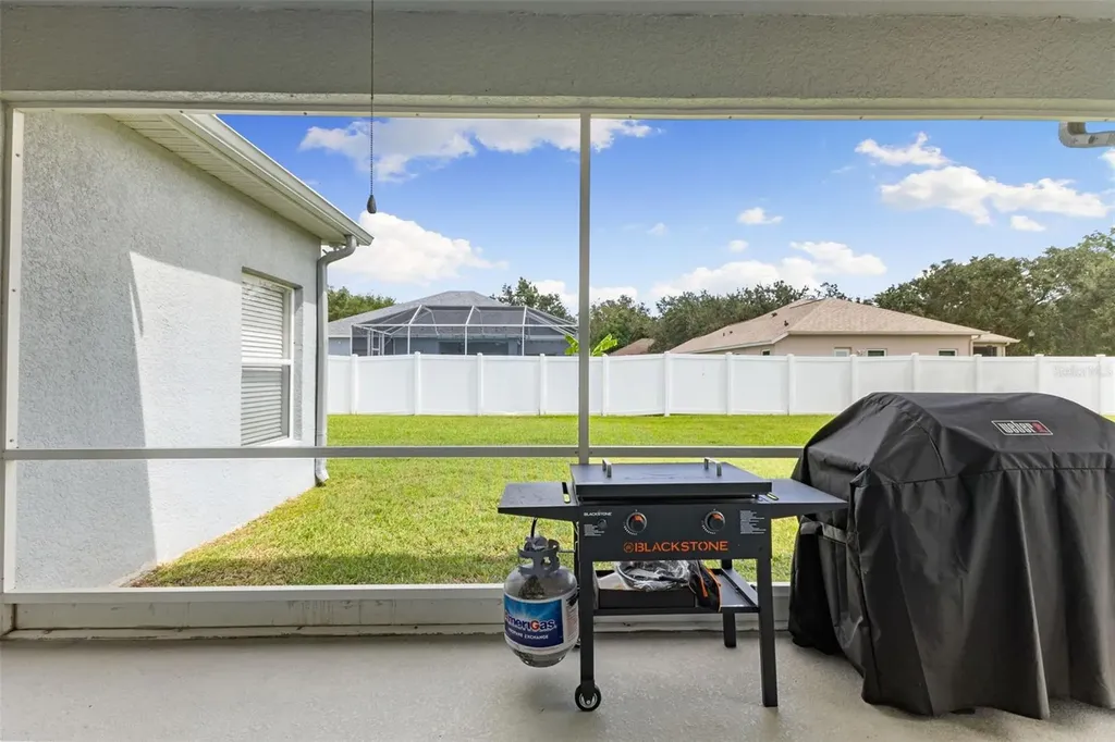 1005 Crystal Carbon Way Valrico FL 33594