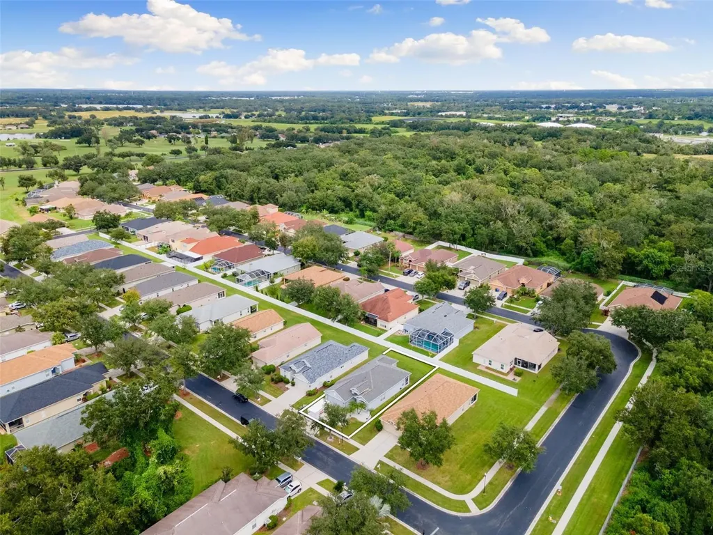 1005 Crystal Carbon Way Valrico FL 33594