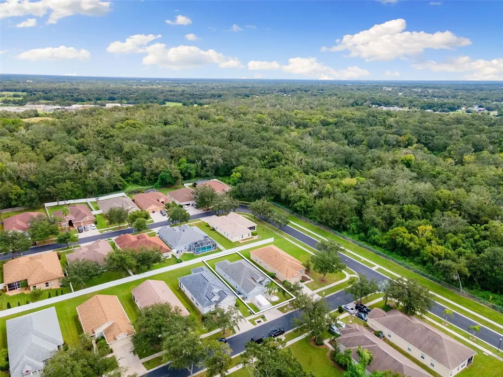 1005 Crystal Carbon Way Valrico FL 33594