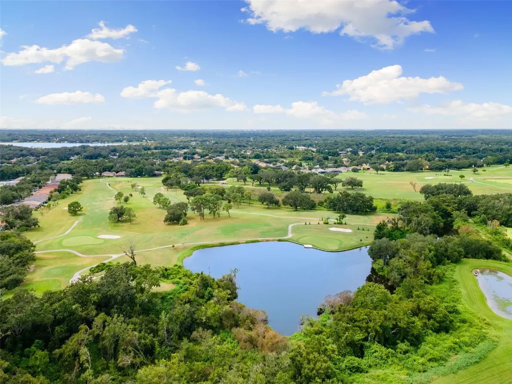 1005 Crystal Carbon Way Valrico FL 33594
