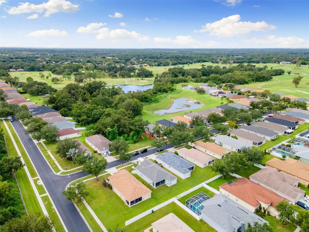 1005 Crystal Carbon Way Valrico FL 33594