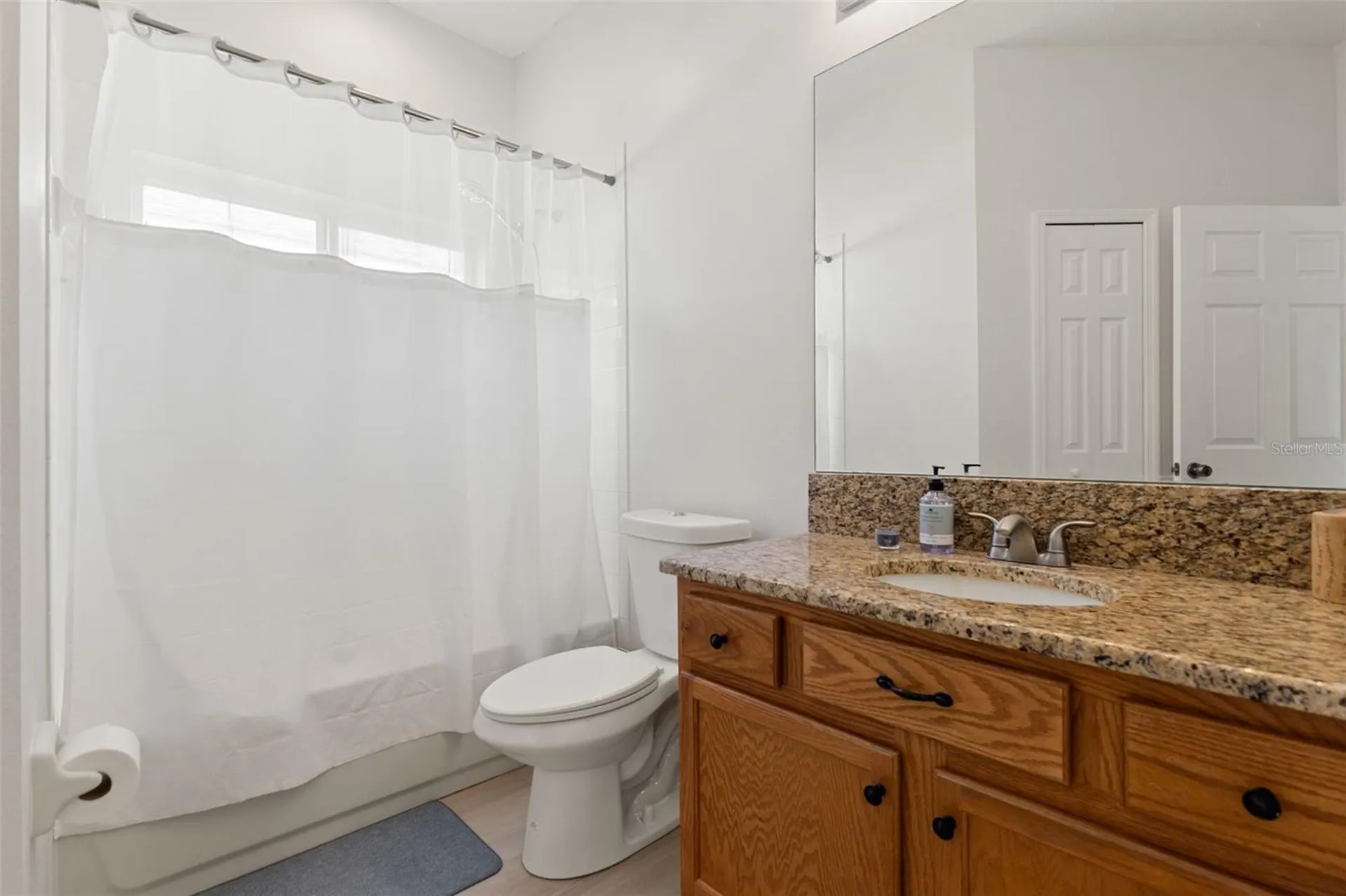 1005 Crystal Carbon Way Valrico FL 33594