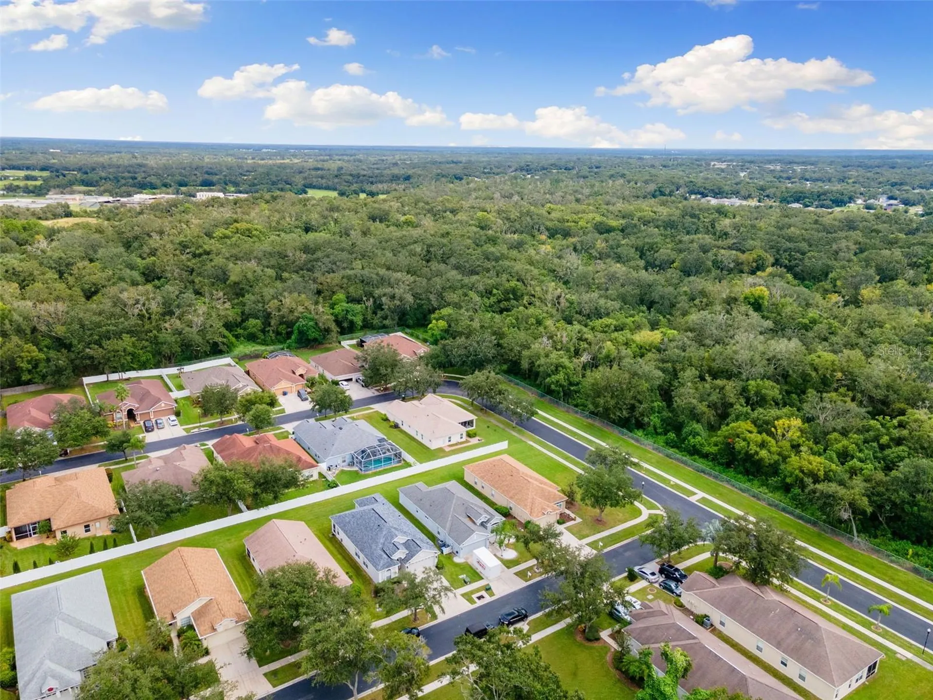 1005 Crystal Carbon Way Valrico FL 33594
