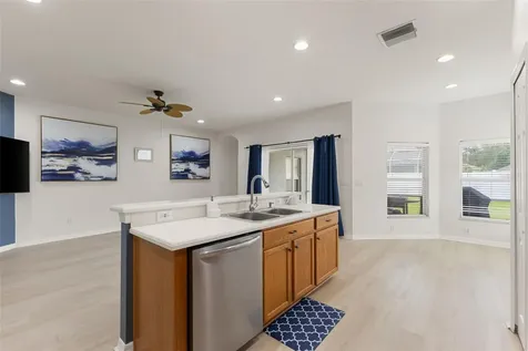 1005 Crystal Carbon Way Valrico FL 33594