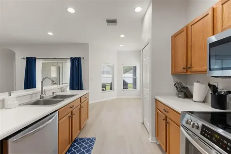 1005 Crystal Carbon Way Valrico FL 33594