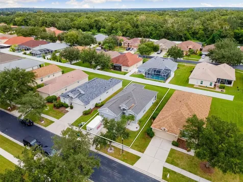 1005 Crystal Carbon Way Valrico FL 33594