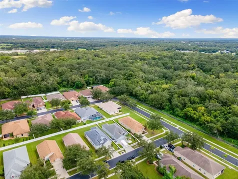 1005 Crystal Carbon Way Valrico FL 33594