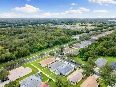 1005 Crystal Carbon Way Valrico FL 33594