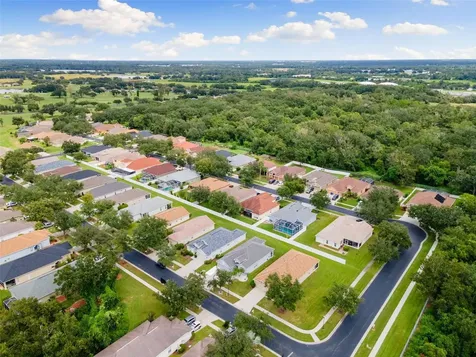1005 Crystal Carbon Way Valrico FL 33594