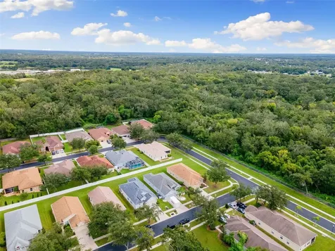 1005 Crystal Carbon Way Valrico FL 33594