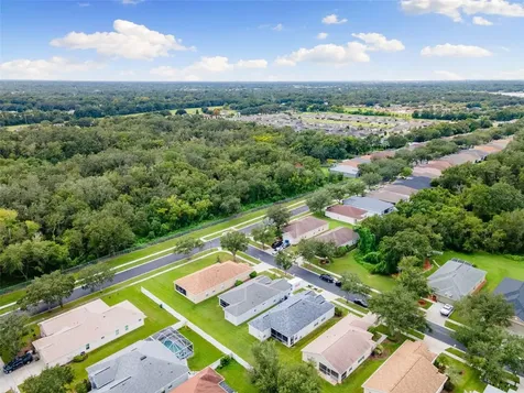 1005 Crystal Carbon Way Valrico FL 33594