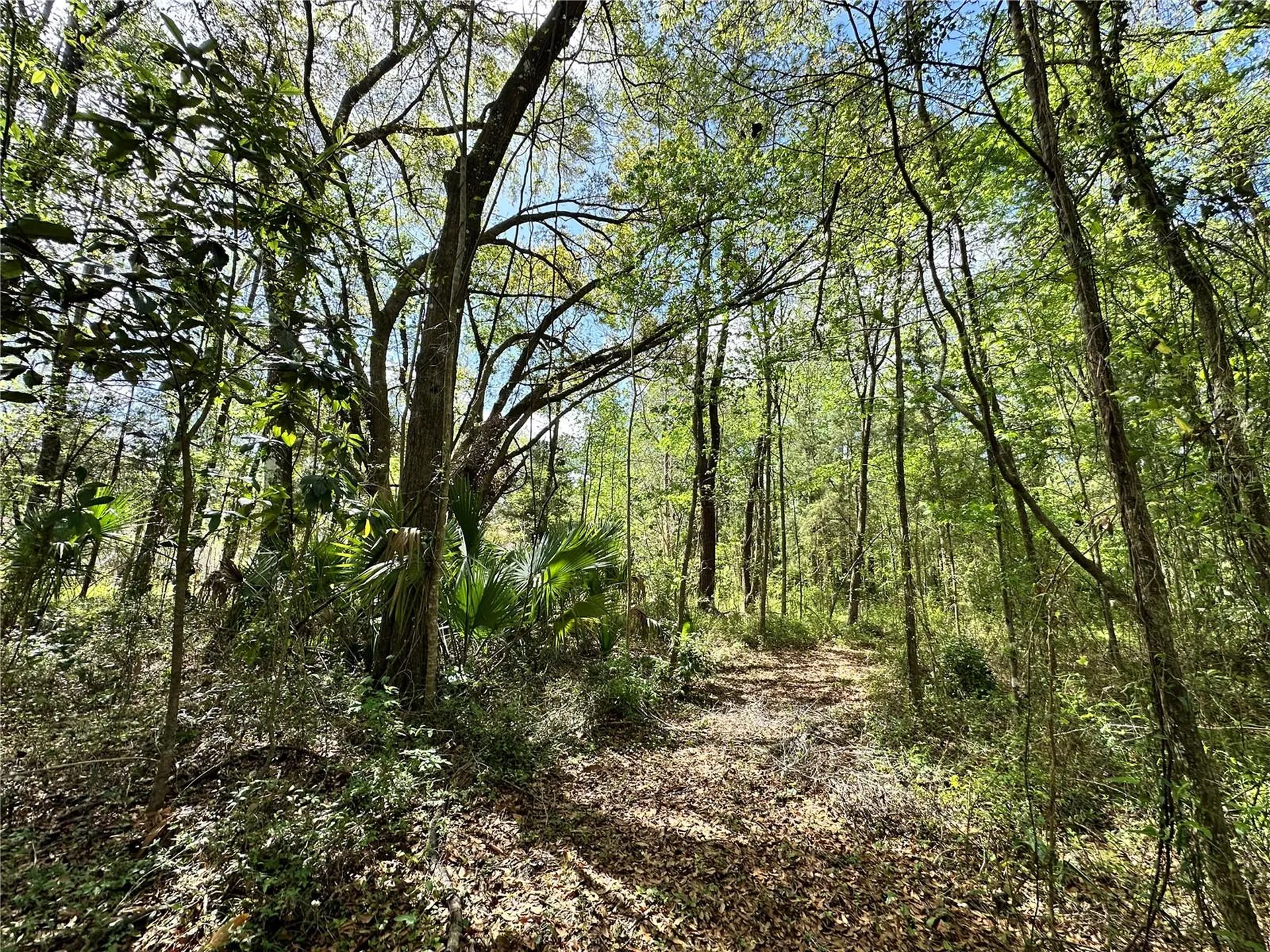 Tbd SW 5th Lane Ocala FL 34481