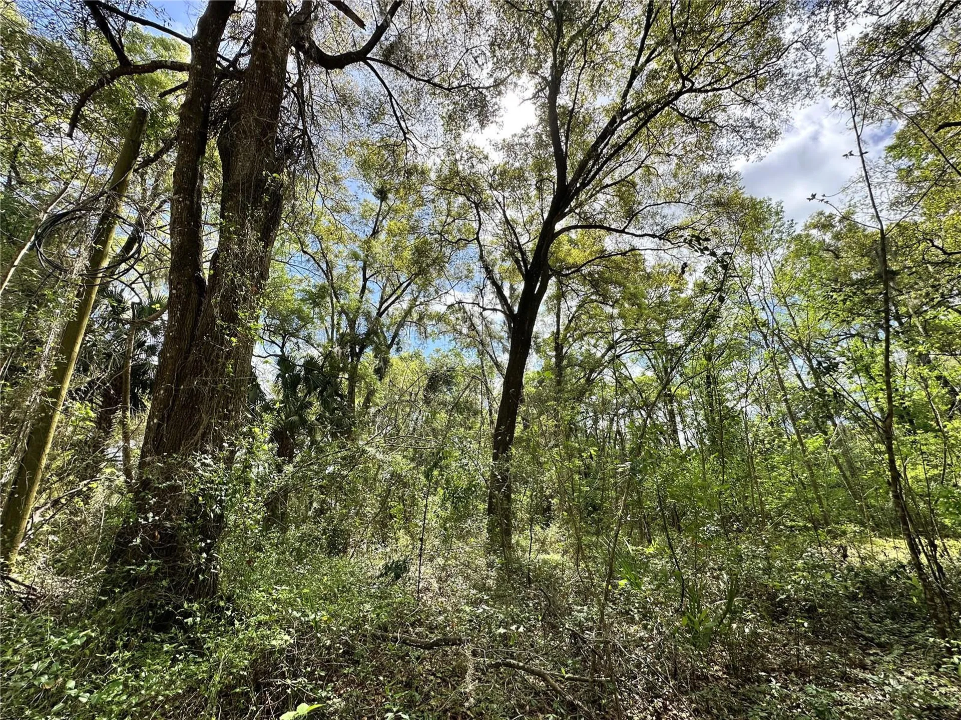 Tbd SW 5th Lane Ocala FL 34481