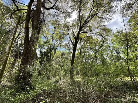 Tbd SW 5th Lane Ocala FL 34481
