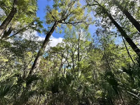 Tbd SW 5th Lane Ocala FL 34481