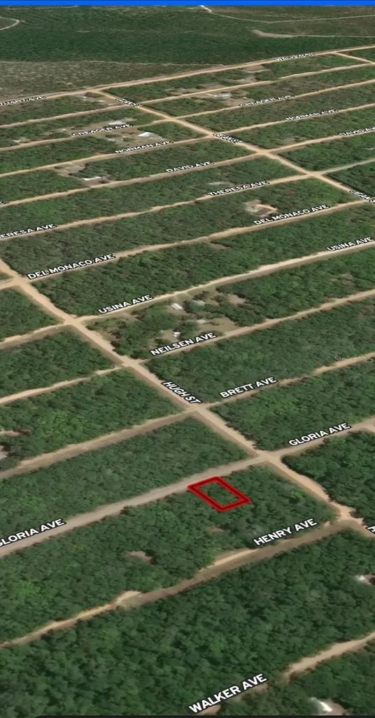 Lot 20 Gloria Avenue Interlachen FL 32148