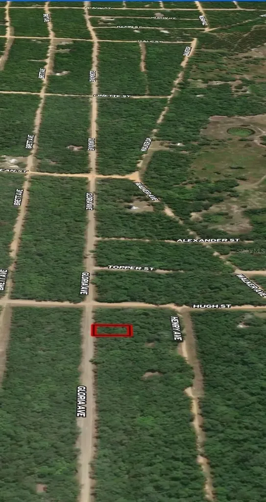 Lot 20 Gloria Avenue Interlachen FL 32148