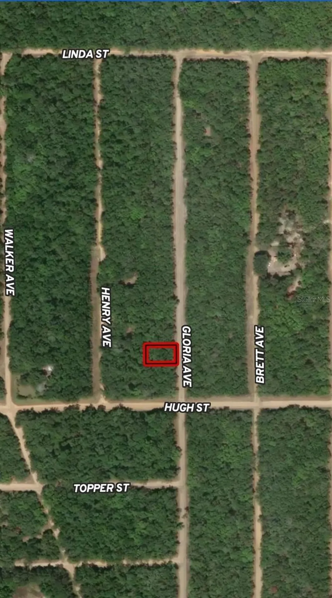 Lot 20 Gloria Avenue Interlachen FL 32148