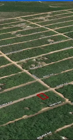 Lot 20 Gloria Avenue Interlachen FL 32148