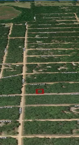 Lot 20 Gloria Avenue Interlachen FL 32148