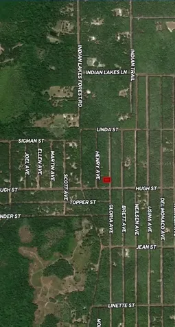 Lot 20 Gloria Avenue Interlachen FL 32148