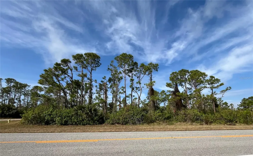 14767 San Domingo Boulevard Port Charlotte FL 33981