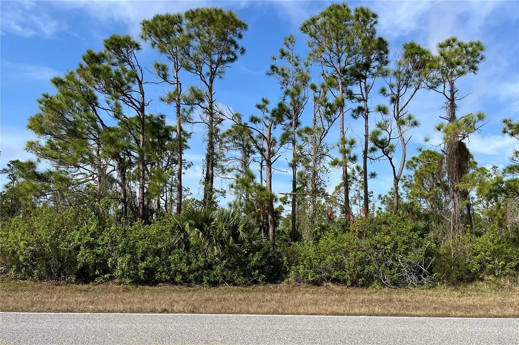 14767 San Domingo Boulevard Port Charlotte FL 33981