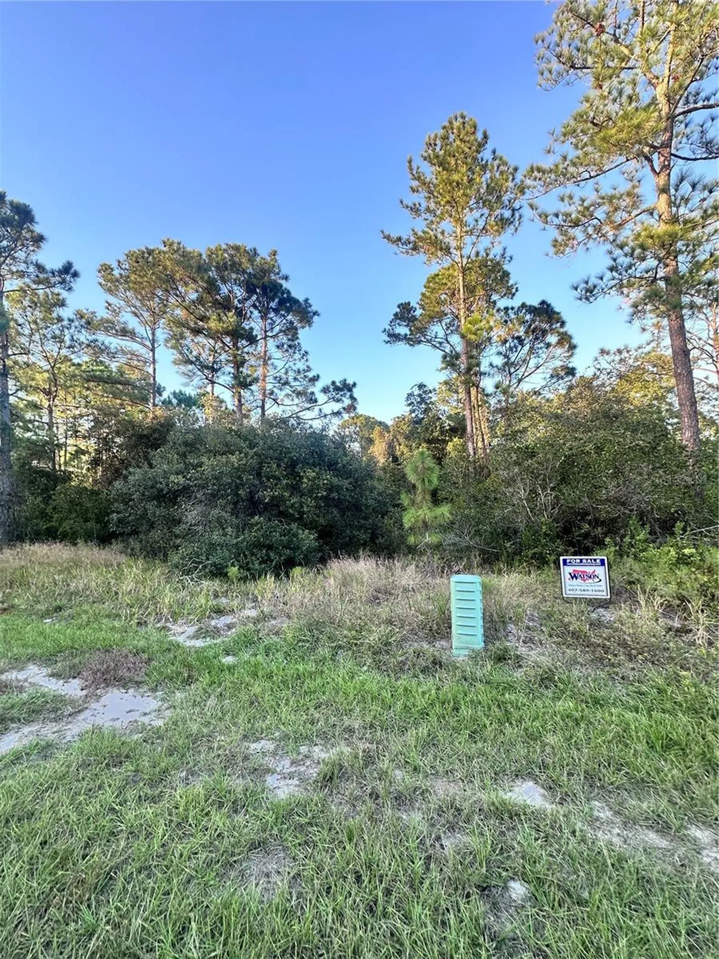 1566 Marlin Drive Kissimmee FL 34759