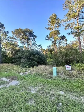 1566 Marlin Drive Kissimmee FL 34759