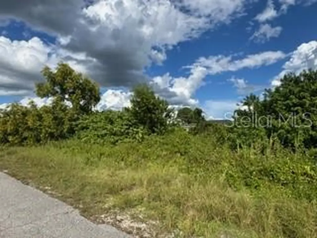 3913 14th Street SW Lehigh Acres FL 33976