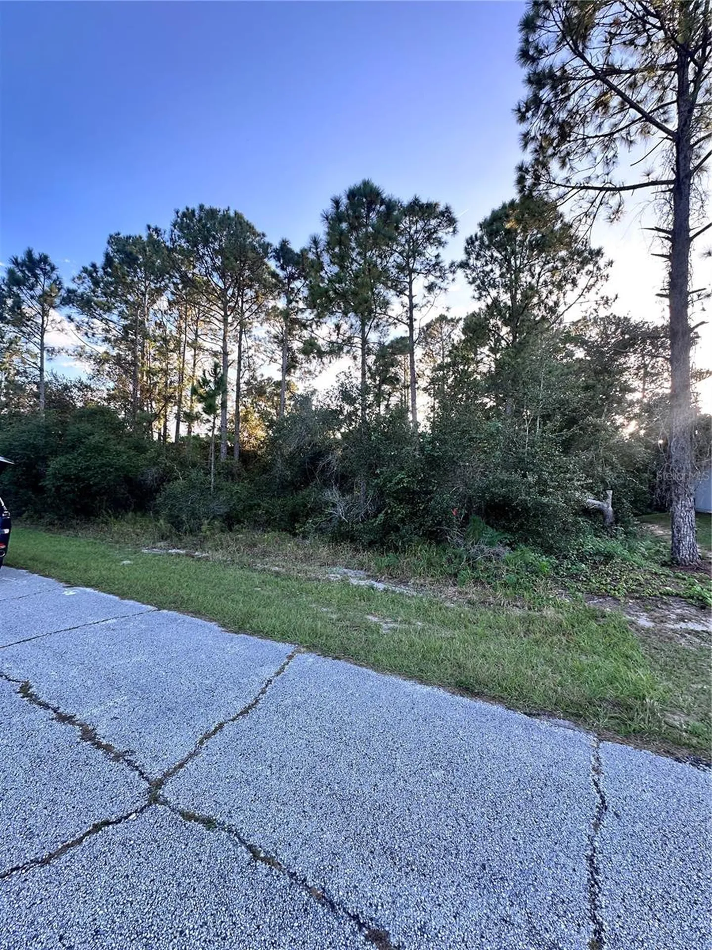 1548 Mediterranean Drive Kissimmee FL 34759